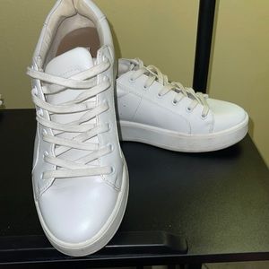Steve Madden Sneakers